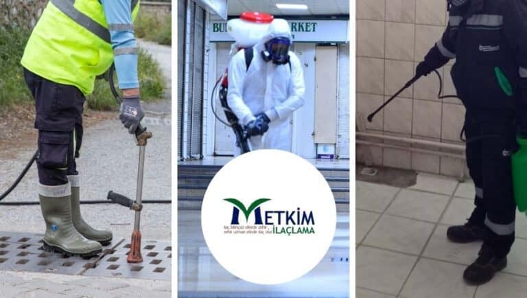 İstanbul’da Güvenilir Haşere Sorununa Çözüm: Metkim Böcek İlaçlama Haşerelerle Mücadelede Uzmanlığın Adresi