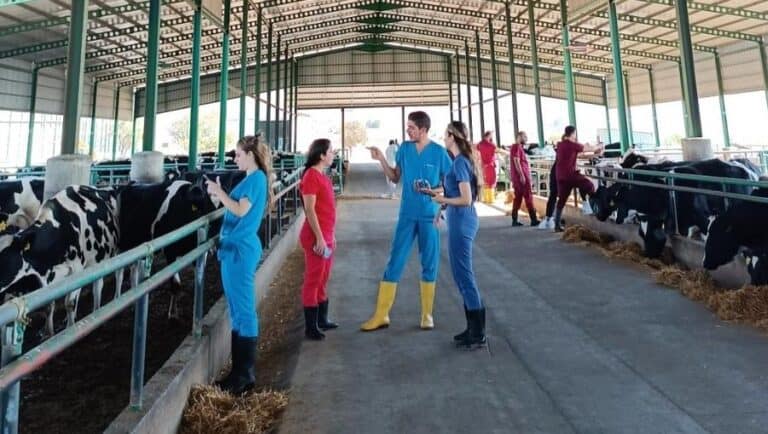 600’ü Aşkın Veteriner Hekim KKTC’de Buluşacak